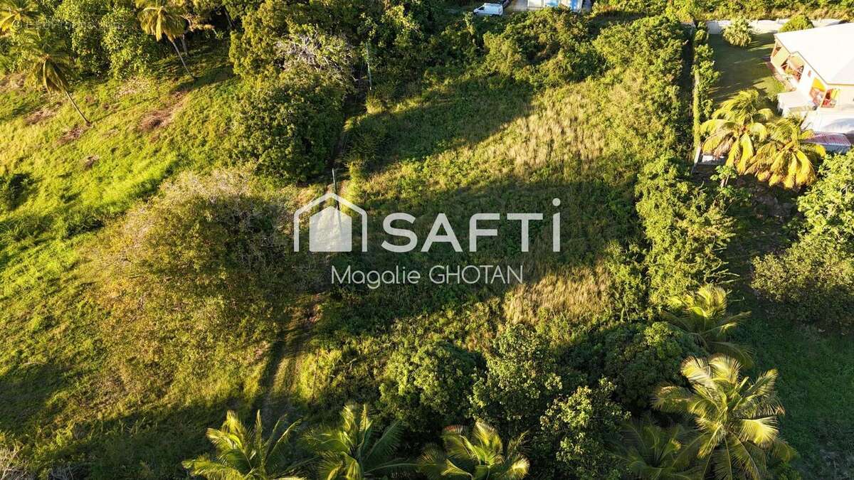 Photo 3 - Terrain à GRAND-BOURG