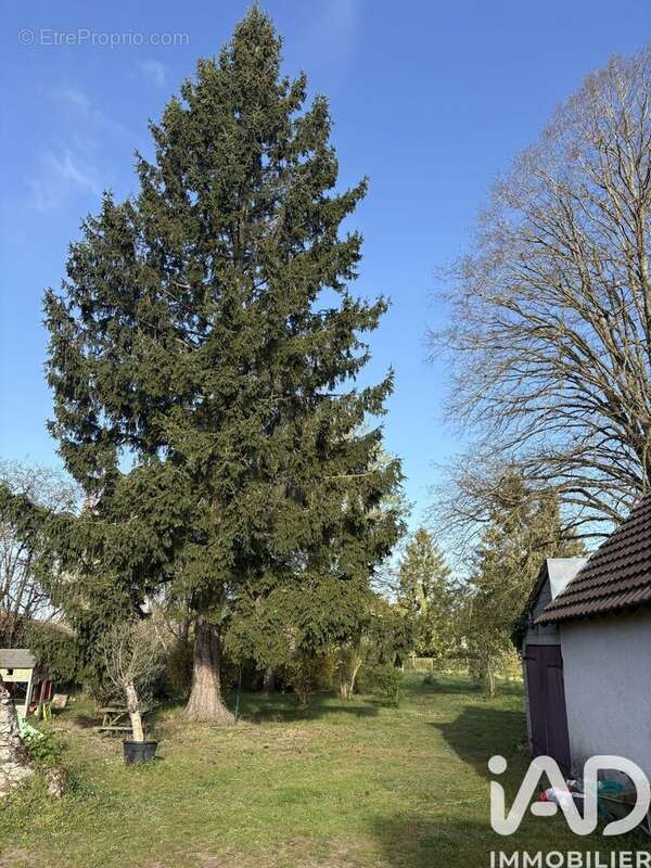 Photo 3 - Maison à LAILLY-EN-VAL