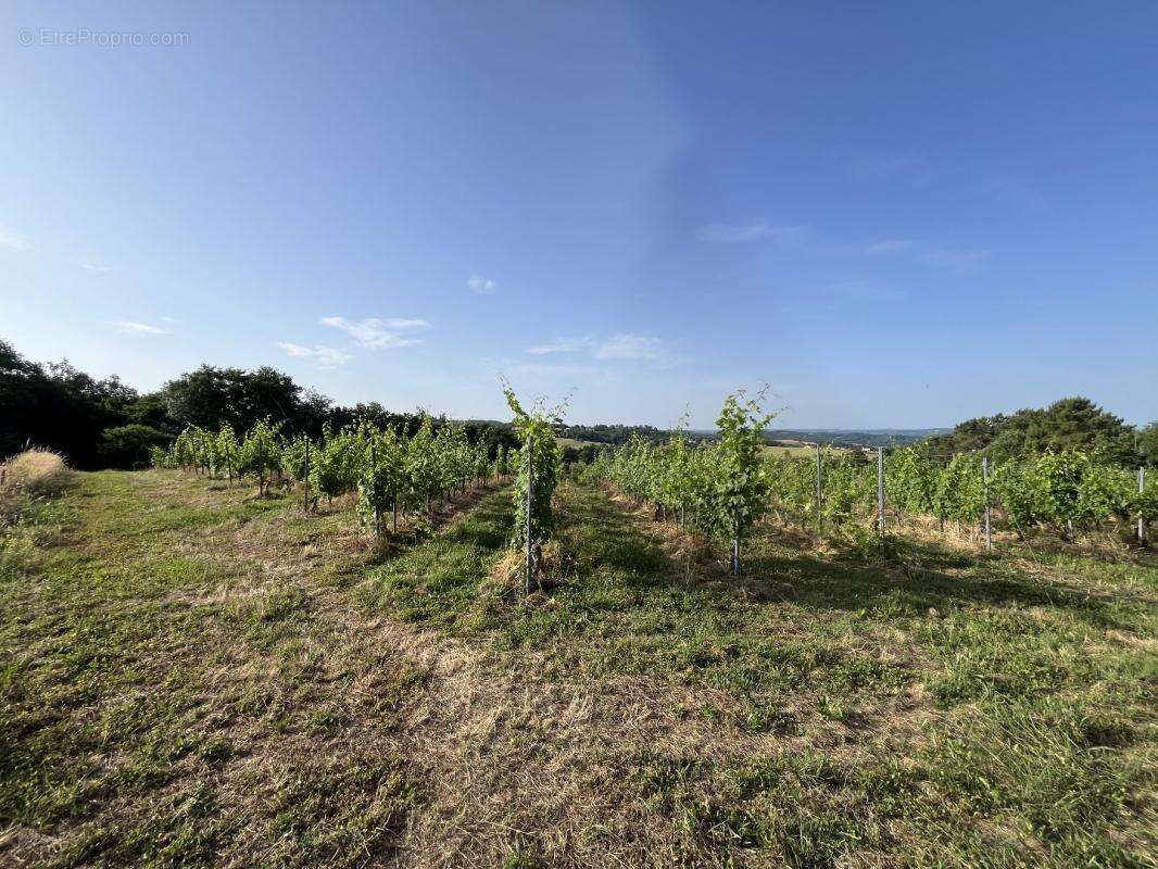 Maison à PUY-D'ARNAC