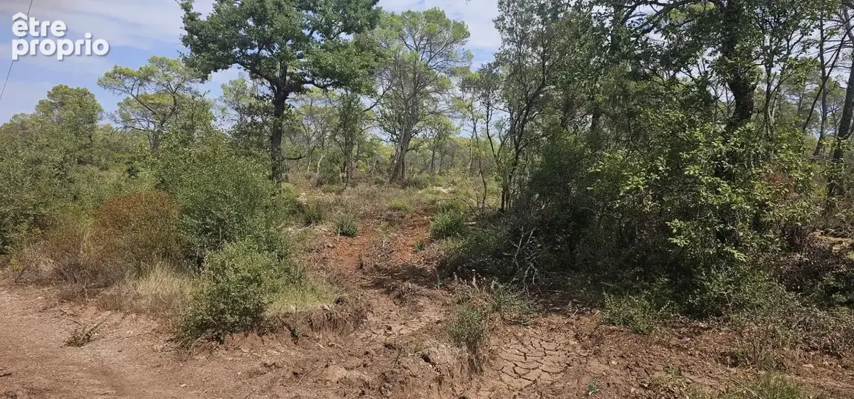 Vente Terrain Cabasse(83340) 67 500ï¿œ - photo 2