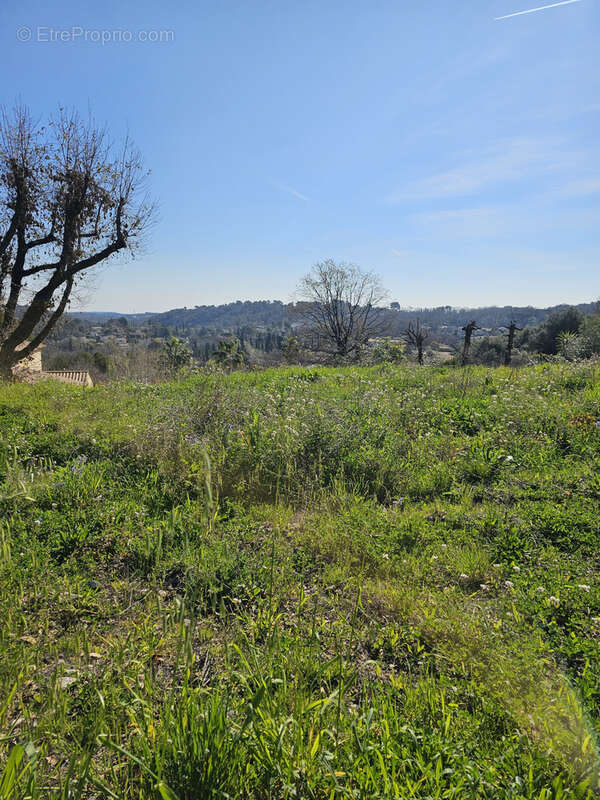 Terrain à VALBONNE
