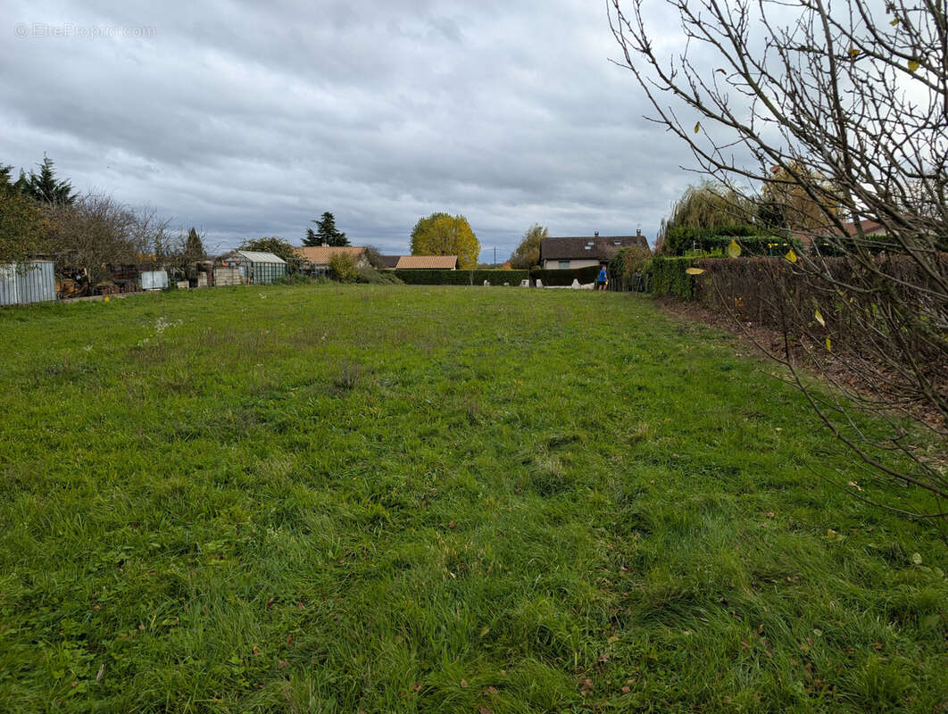 Terrain à CHAZEY-SUR-AIN