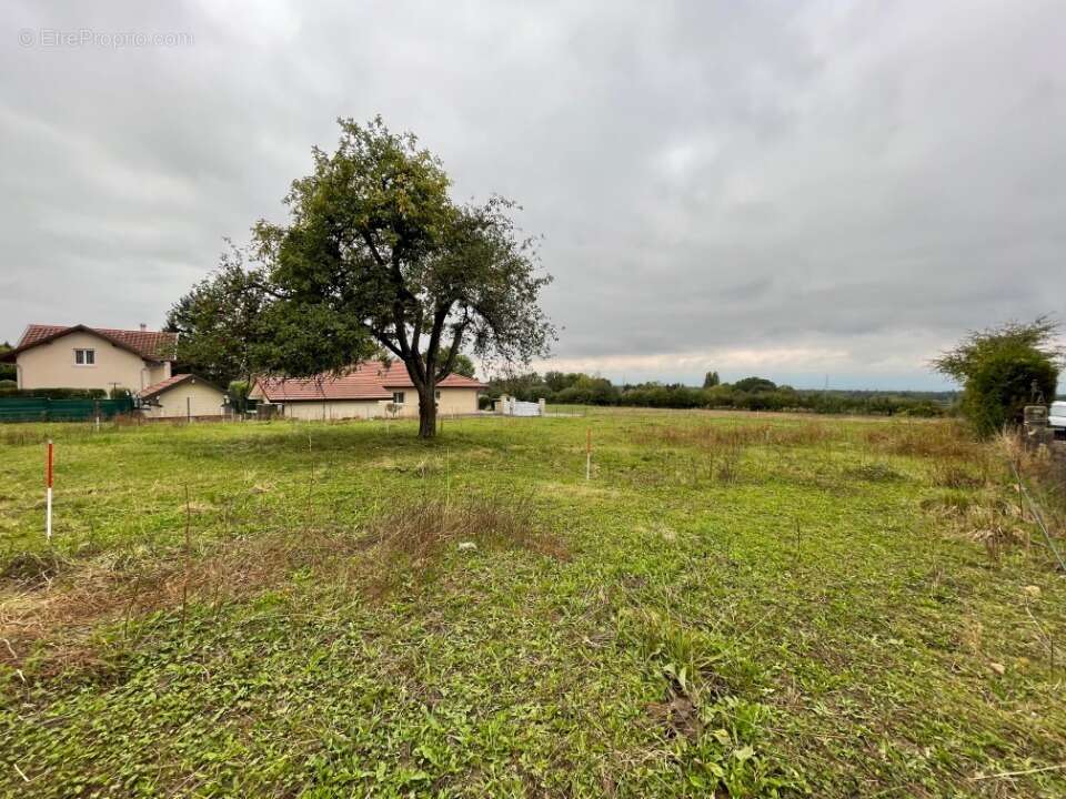 Terrain à PREVESSIN-MOENS