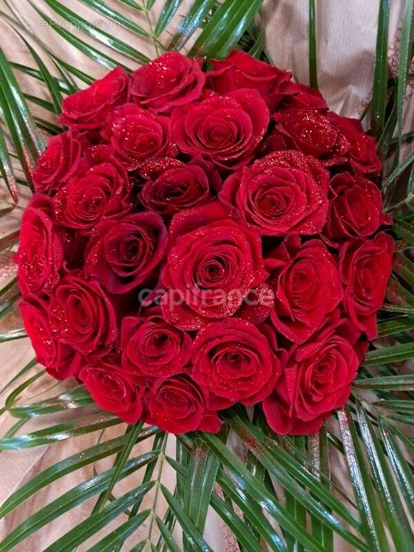 Commerce à VENTABREN