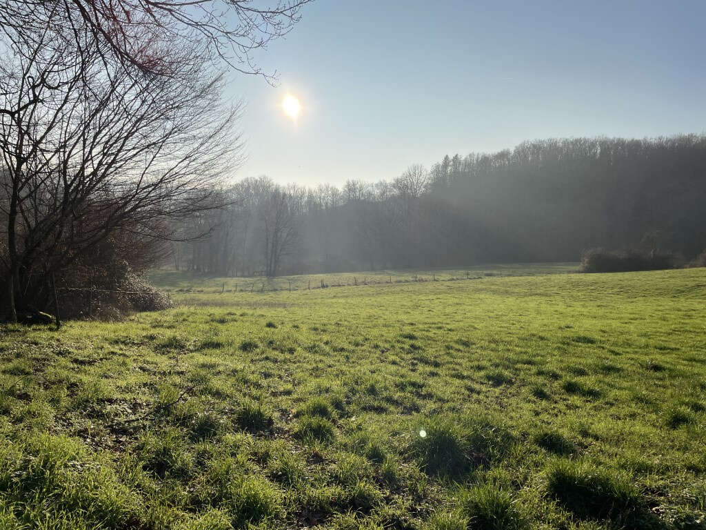 Maison à SAINT-AULAIRE