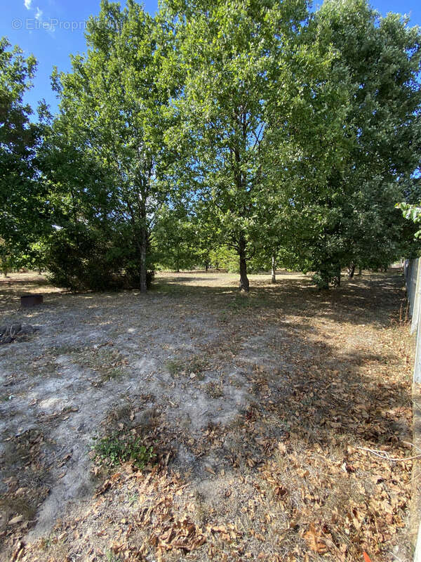 Terrain à NEGREPELISSE