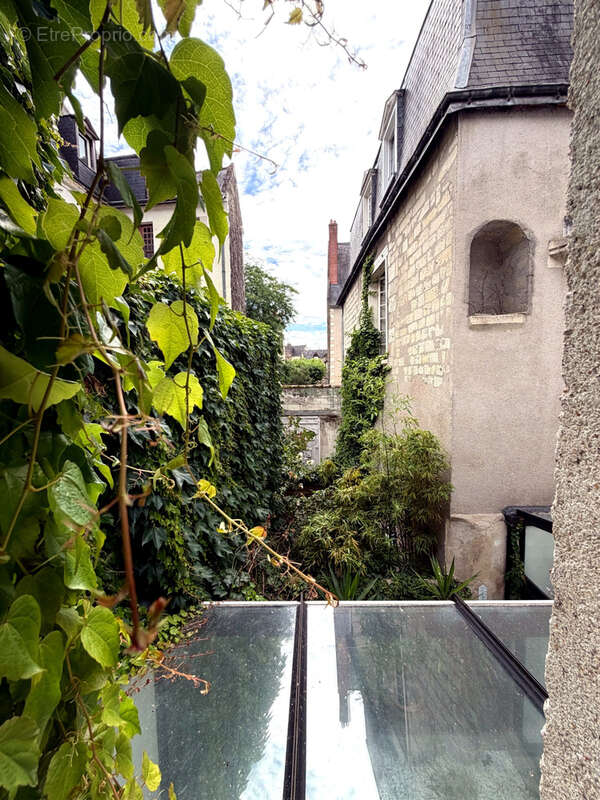 Maison à TOURS