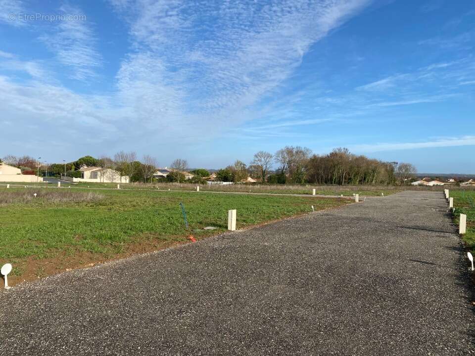 Terrain à PORT-DES-BARQUES