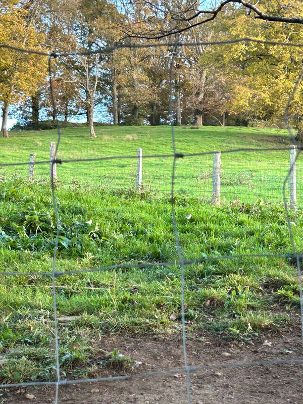 Maison à SAINT-DENIS-DE-CABANNE