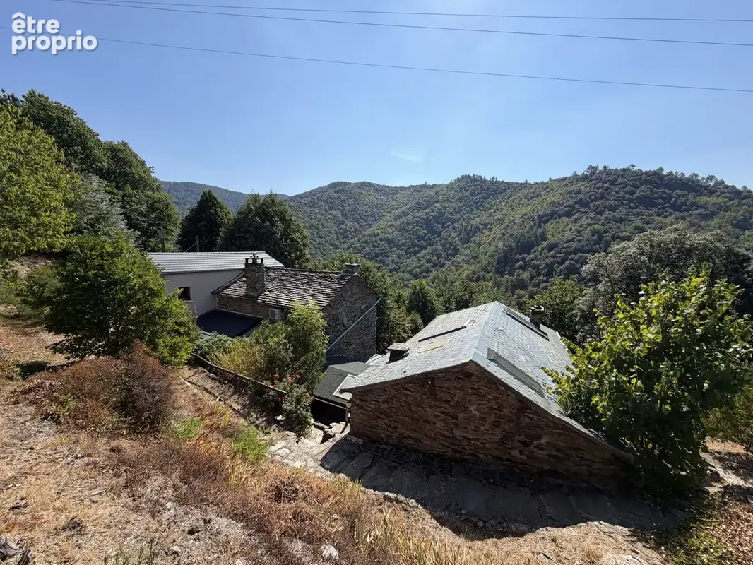 Mas cévenol de caractère - photo 3