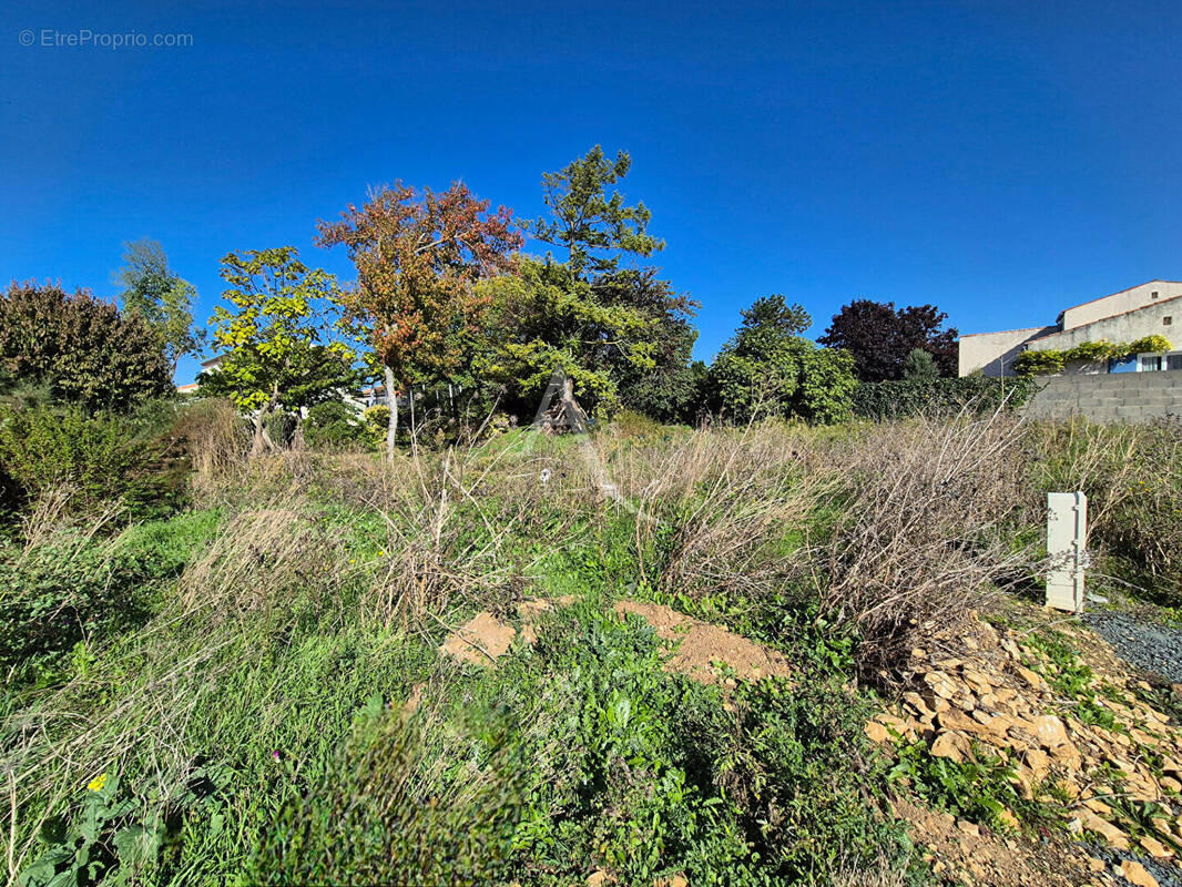 Terrain à VILLEDOUX