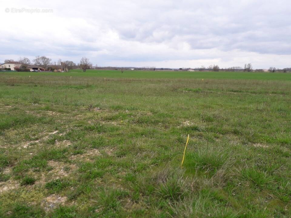 Terrain 655 m² à Montans  - photo 1