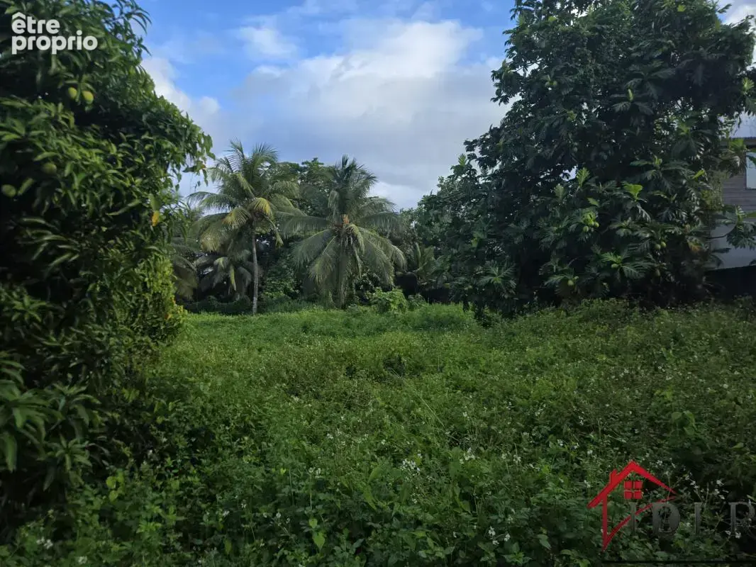 terrain constructible les Abymes 97139 Guadeloupe - photo 6