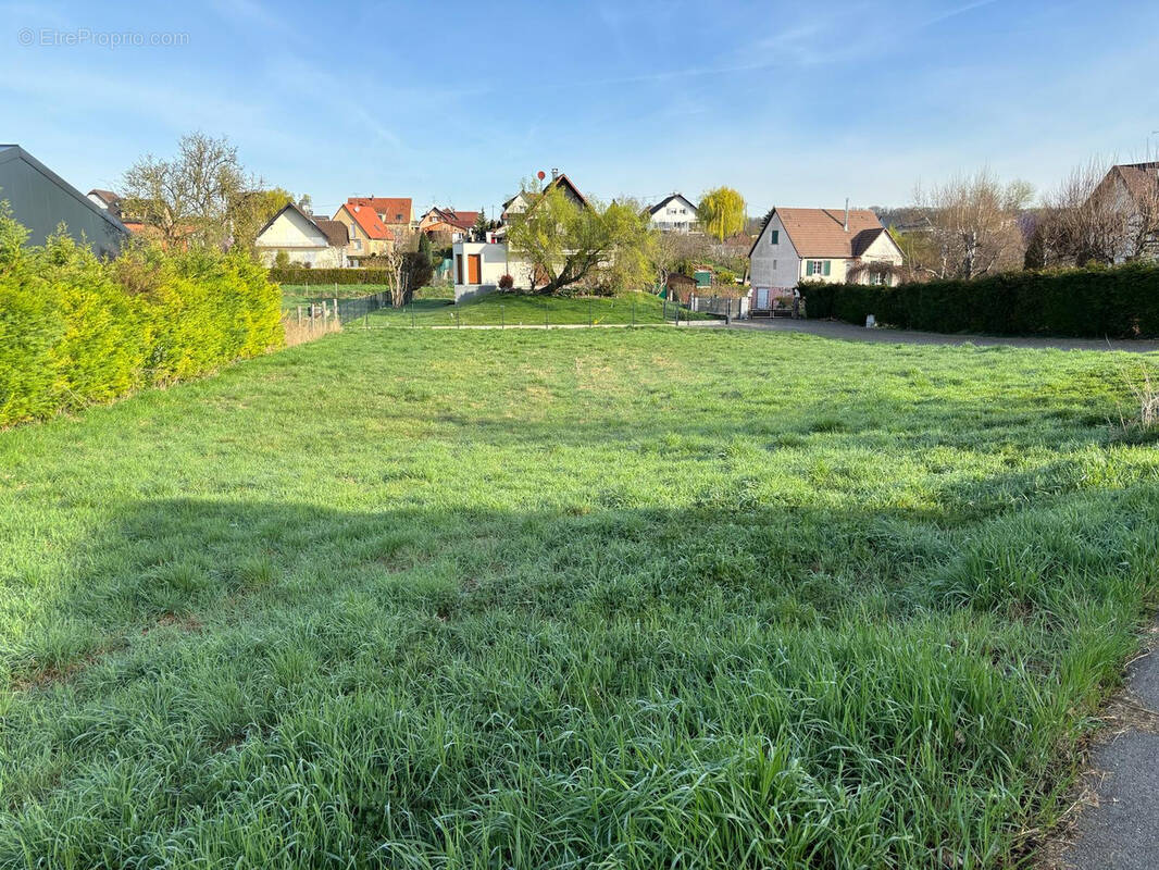 Terrain à RANTZWILLER