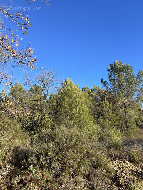Terrain à LE VAL