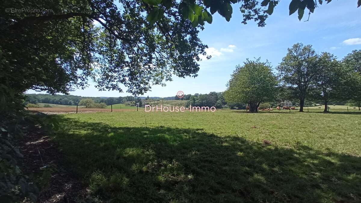 Terrain à SAINT-FRONT-D'ALEMPS