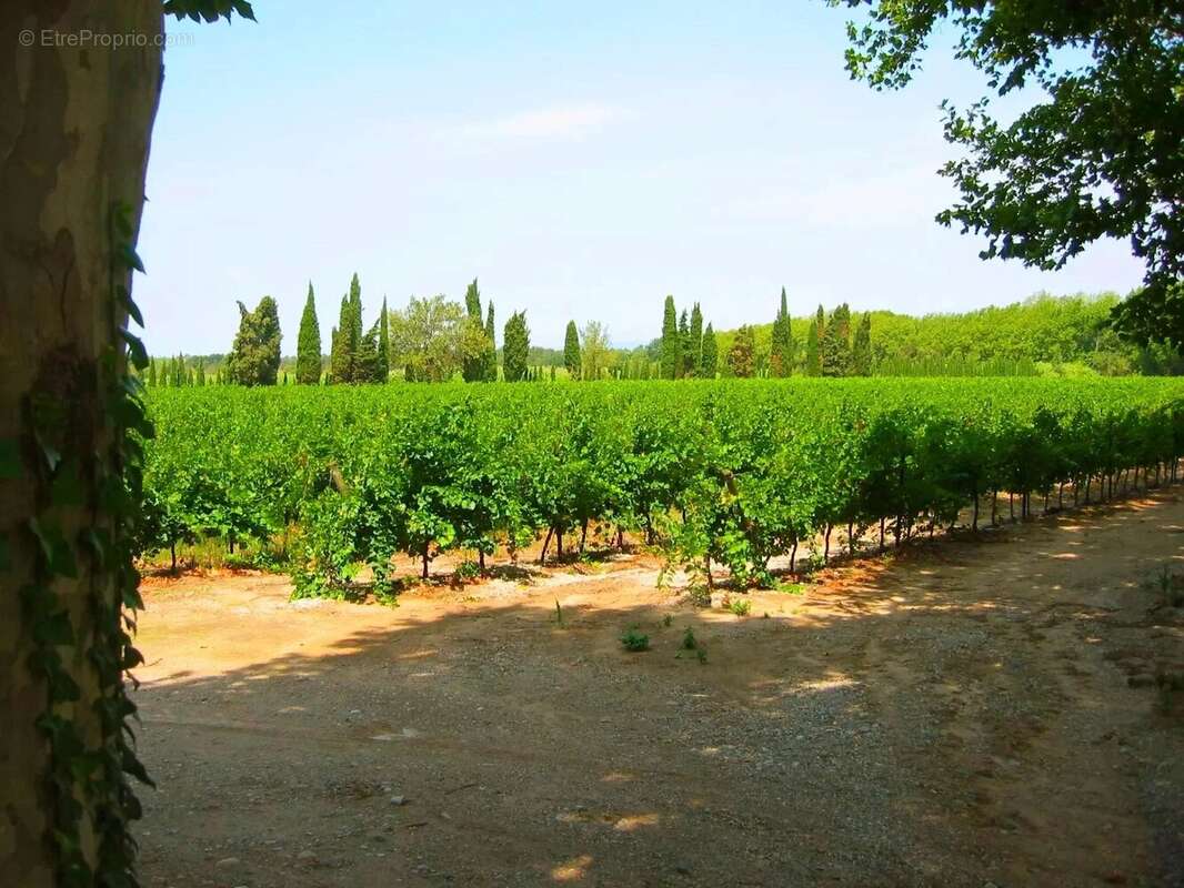 Domaine avec vignes et gîtes - photo 12
