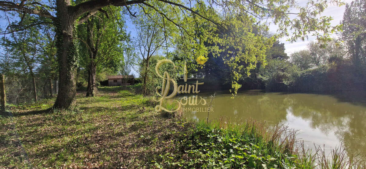 Terrain à CHAVEIGNES