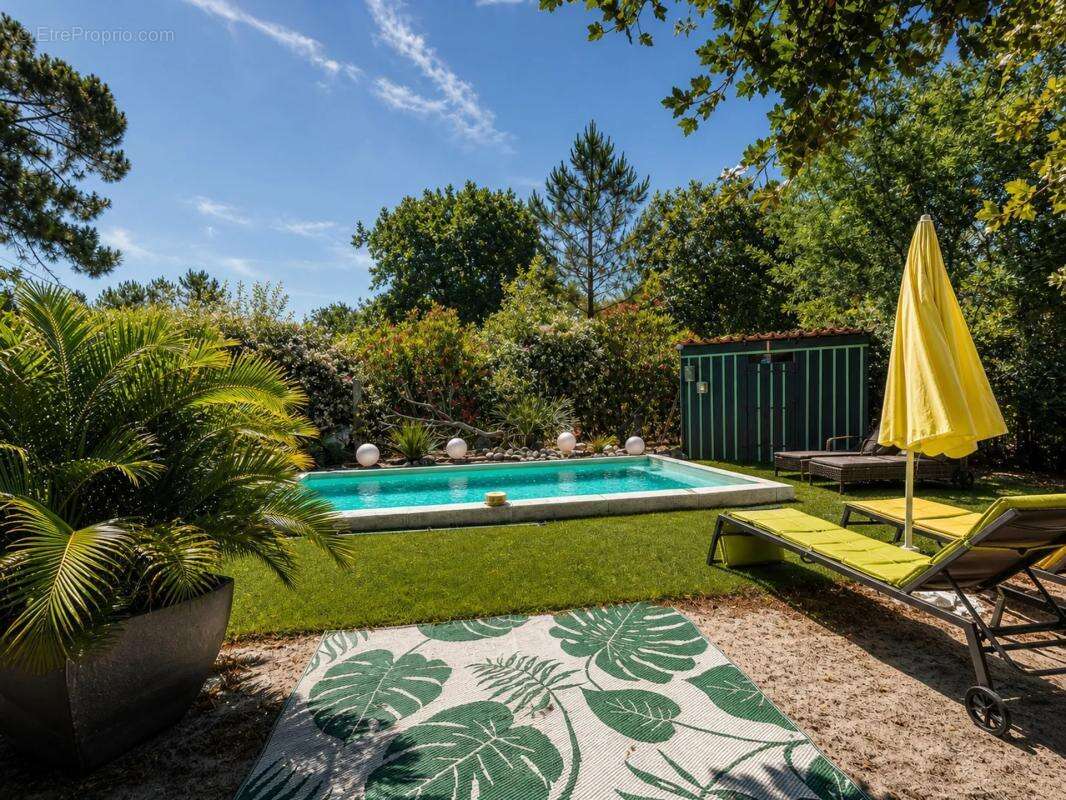 Maison de charme avec gîte indépendant, piscine et potentiel - photo 5