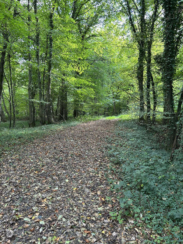 Terrain à RECLINGHEM