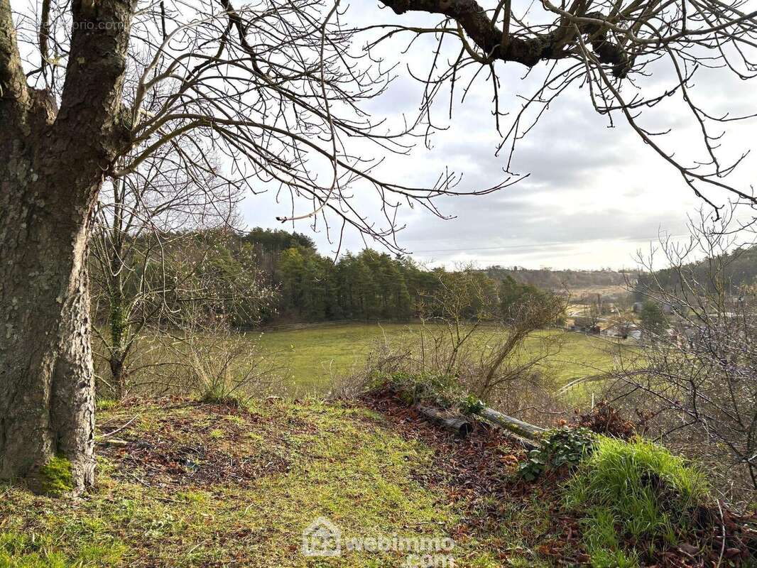 Aperçu de la vue à travers les arbres, dont certains sont très anciens. - Terrain à MONTAMISE
