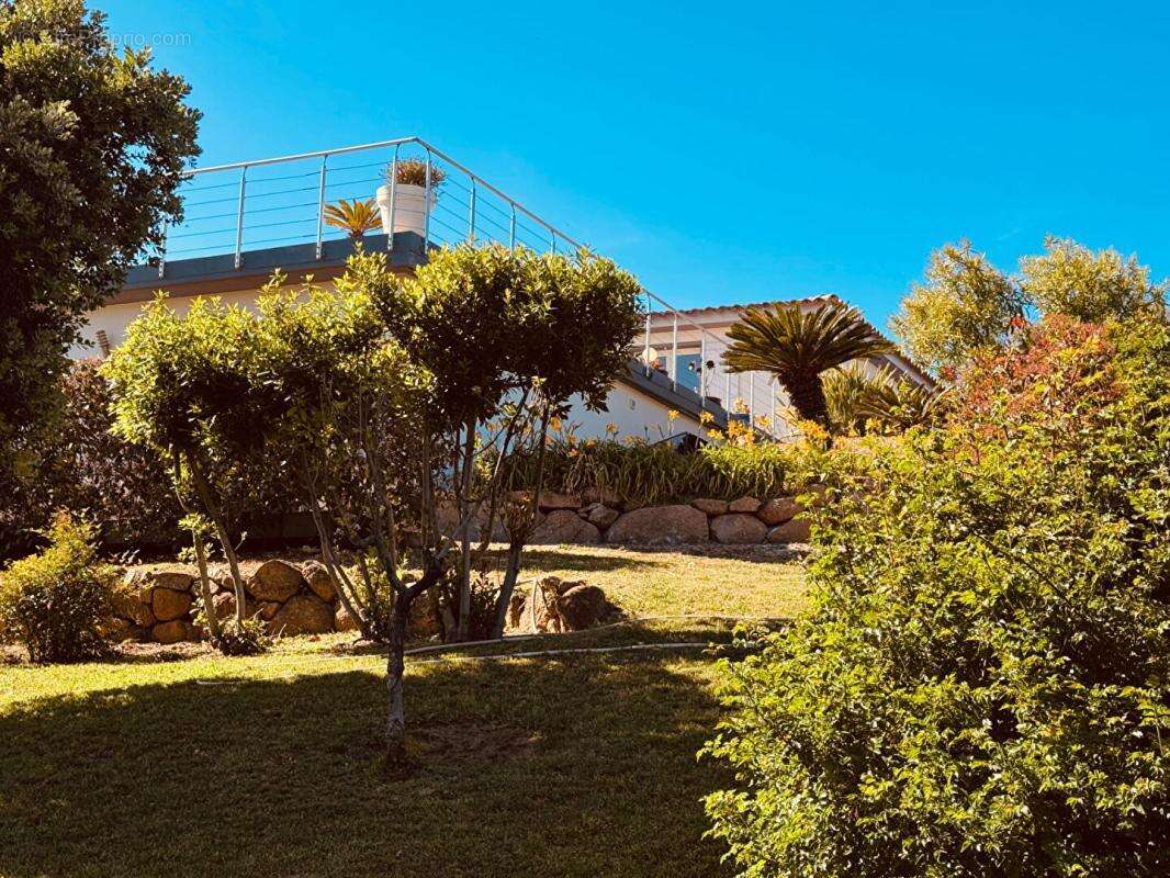 Maison à ZONZA