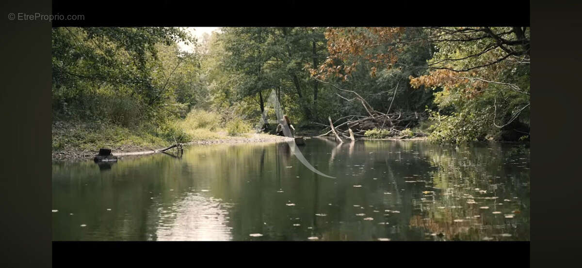Territoire de chasse avec étang en Sologne - photo 8