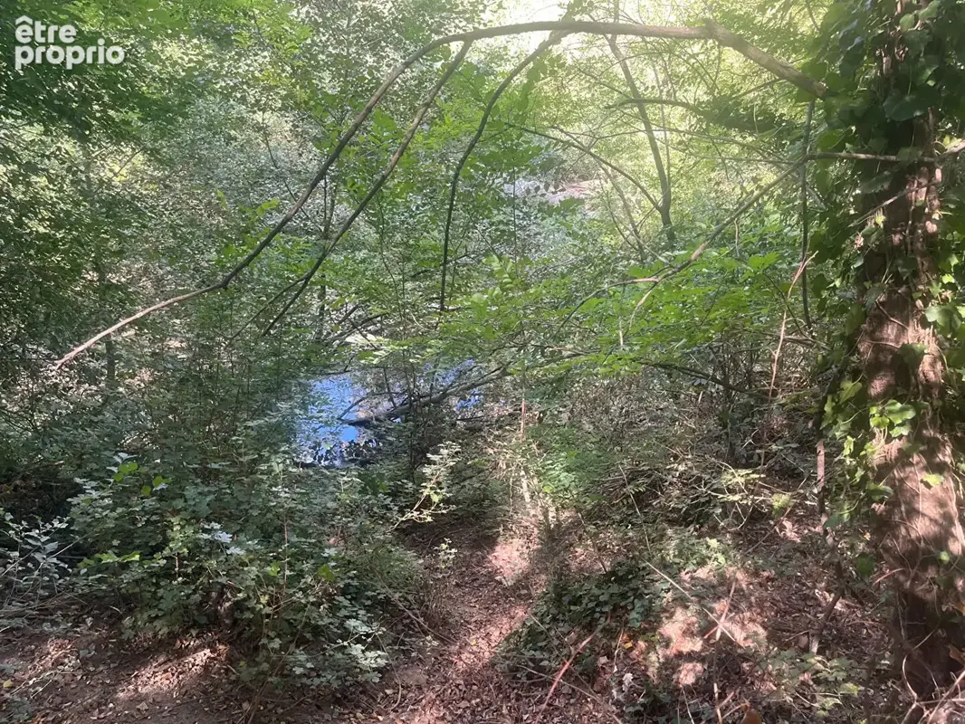 Terrain  en zone naturelle de 4042 m2 - photo 4