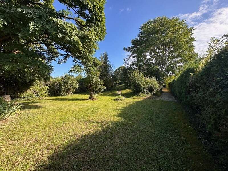 Arcelot sur grand terrain de 3010 m2 maison de 107 m2 - photo 4