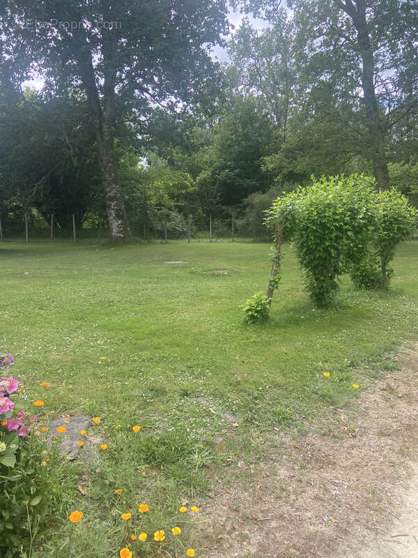 Propriété sur 1Ha 10a 55ca, maison ancienne et séchoir aménagé avec dépendances - photo 27
