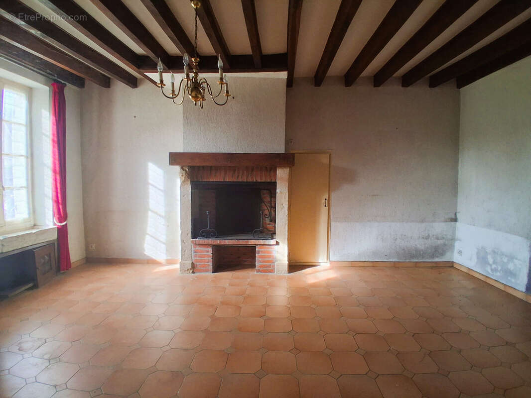 Maison à OUZOUER-SUR-TREZEE