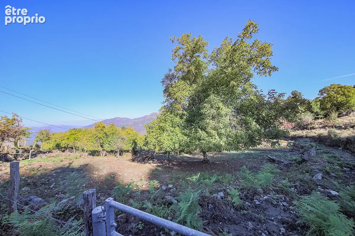 Terrain constructible de 944m² valle di rostino - photo 2