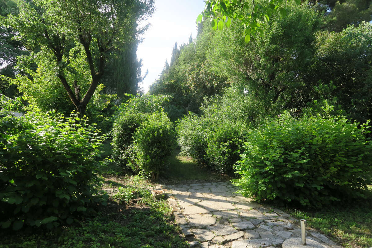 Maison à MONTPELLIER