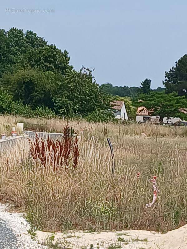 Terrain à SAINTES
