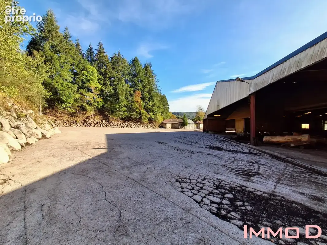 Commerce 3 400 m² à vendre à Docelles (88460) - photo 4