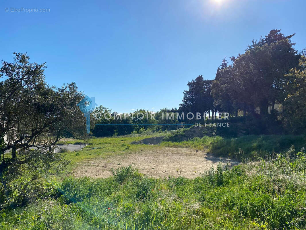 Terrain à ENTRAIGUES-SUR-LA-SORGUE