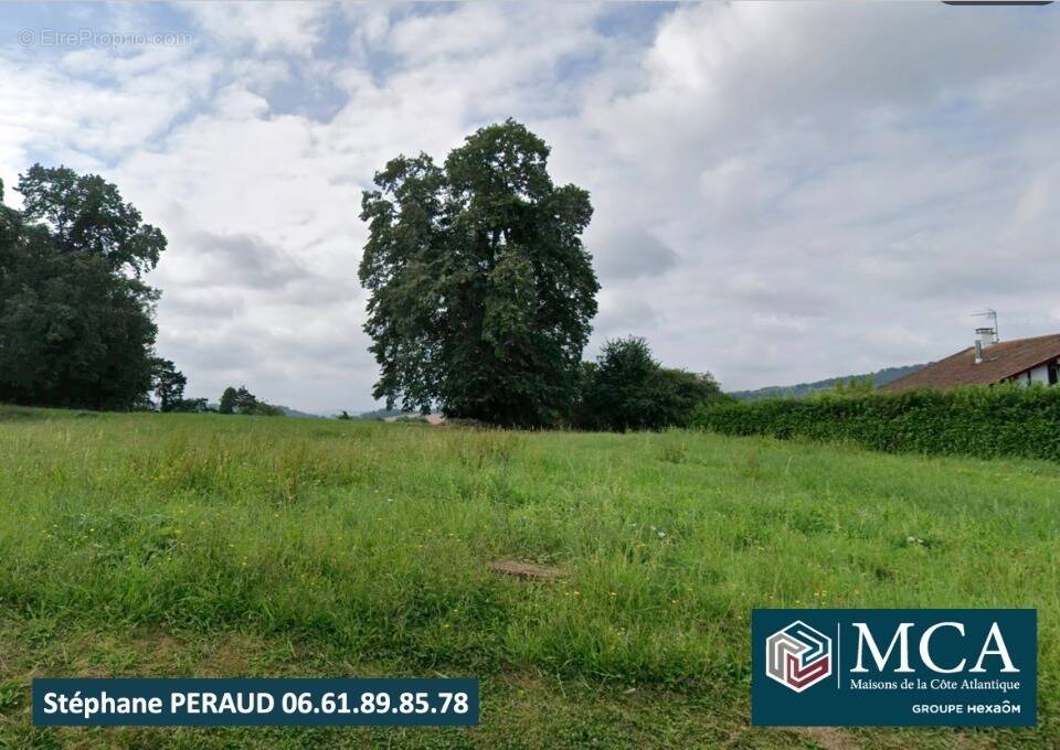 Terrain à BEHASQUE-LAPISTE