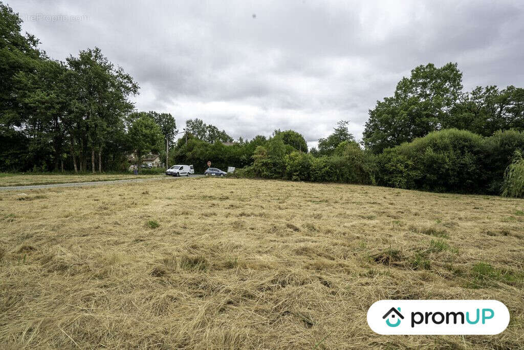 Terrain à SAINT-VICTURNIEN