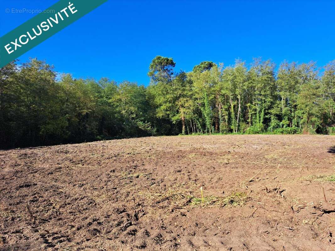 Photo 2 - Terrain à ROQUEFORT