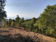 Terrain à CASTILLON