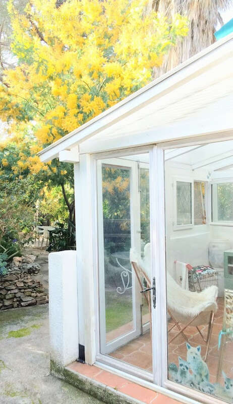 maison tanneron avec terrain en restanque - photo 5