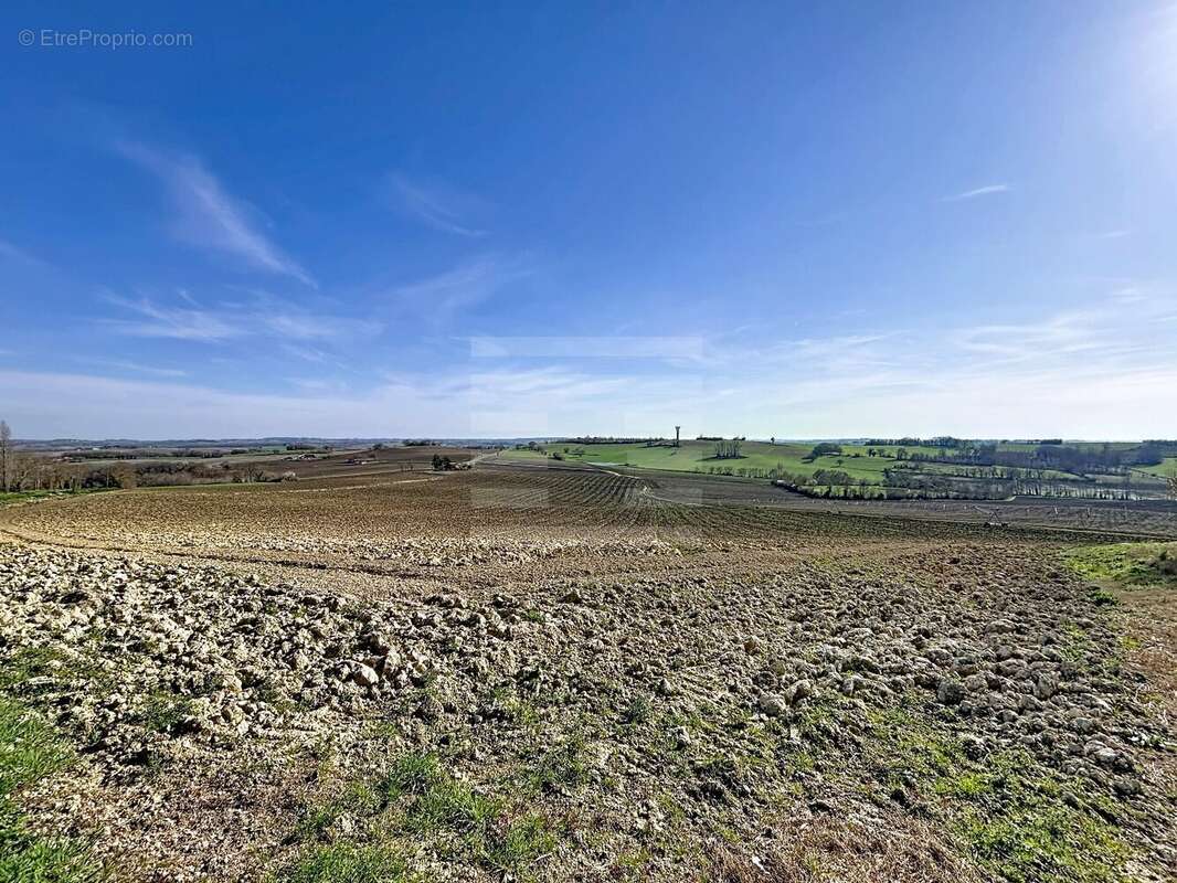 Terrain à NERAC