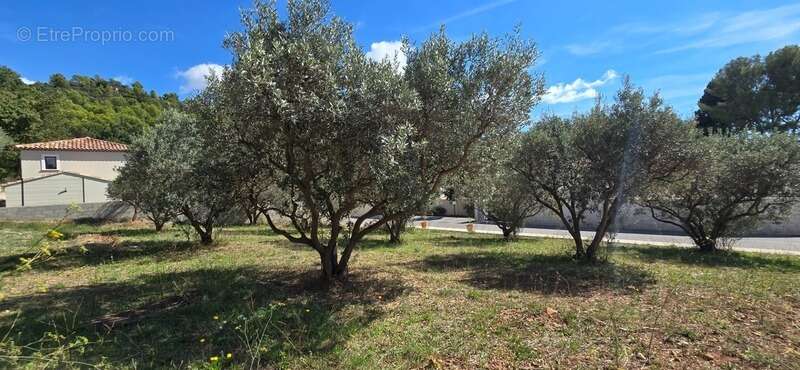 Terrain à LA VALETTE-DU-VAR