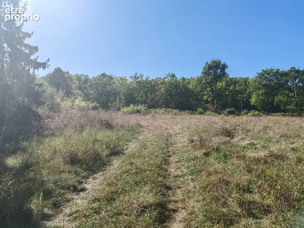 Terrain de loisirs - photo 5