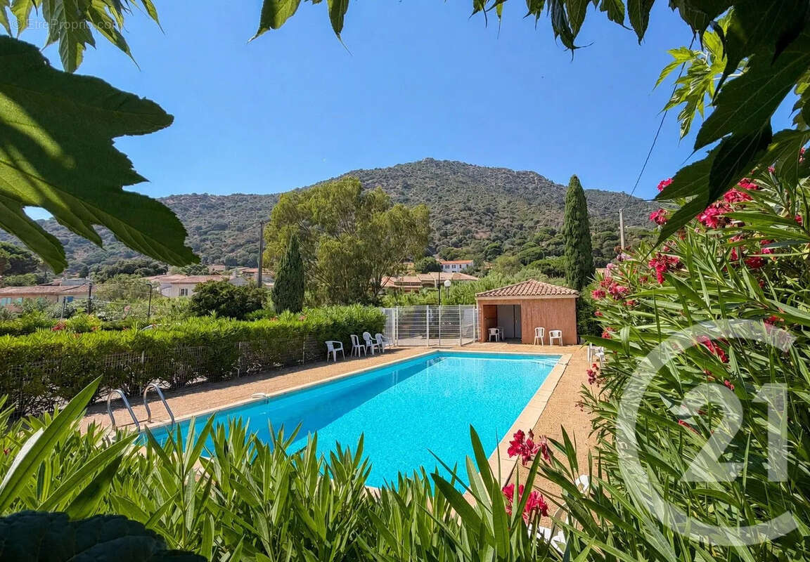 Appartement 40 m² à Le Lavandou  - photo 12