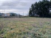 Terrain à SAINT-THEODORIT