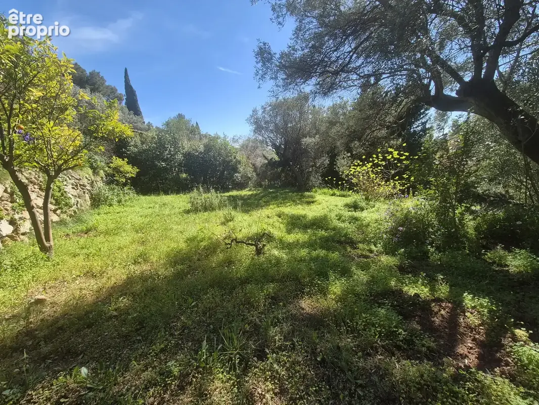 La Valette-du-Var - quartier LA CALABRO, terrain à batir 1054m2, libre constructeur. - photo 2