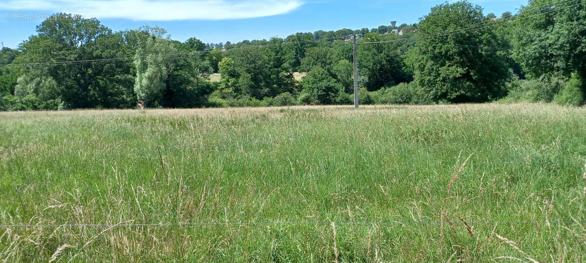 Terrain à BOURBON-L&#039;ARCHAMBAULT