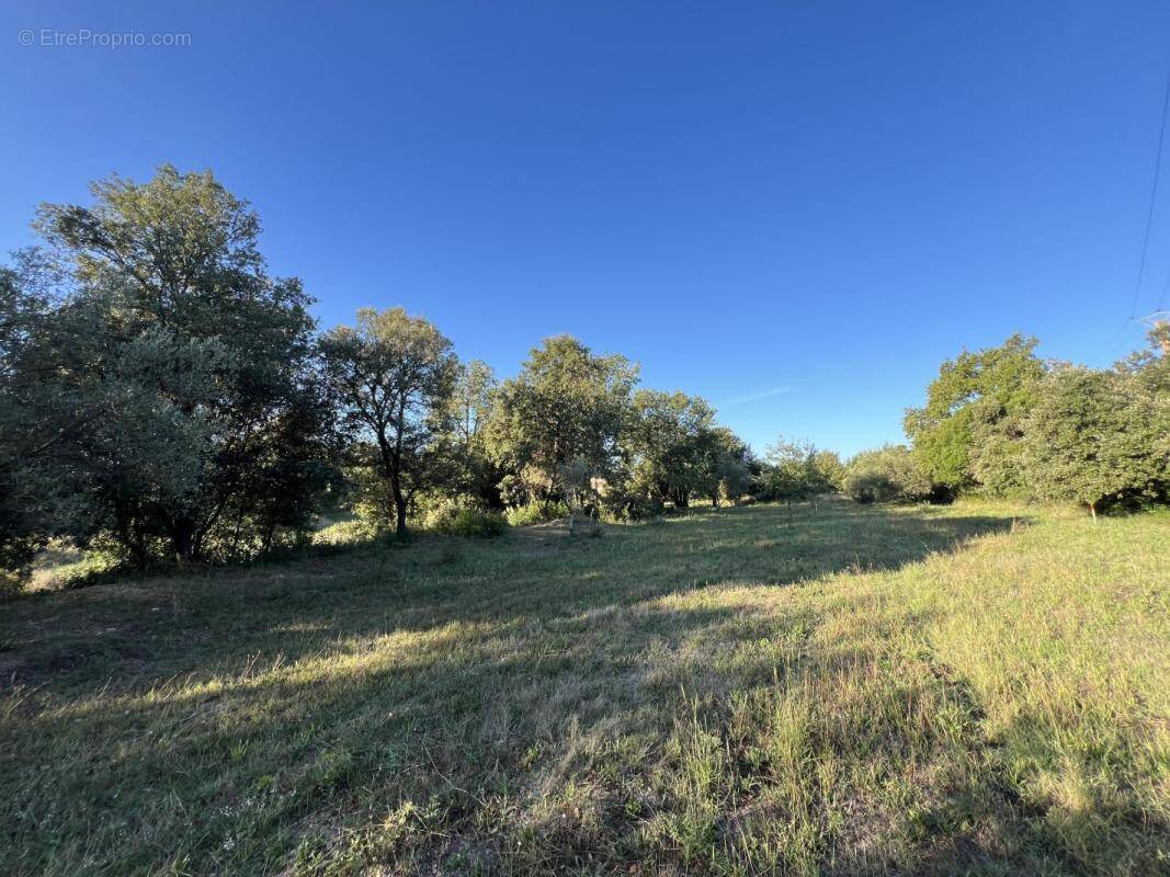 Terrain à SAINT-BENEZET