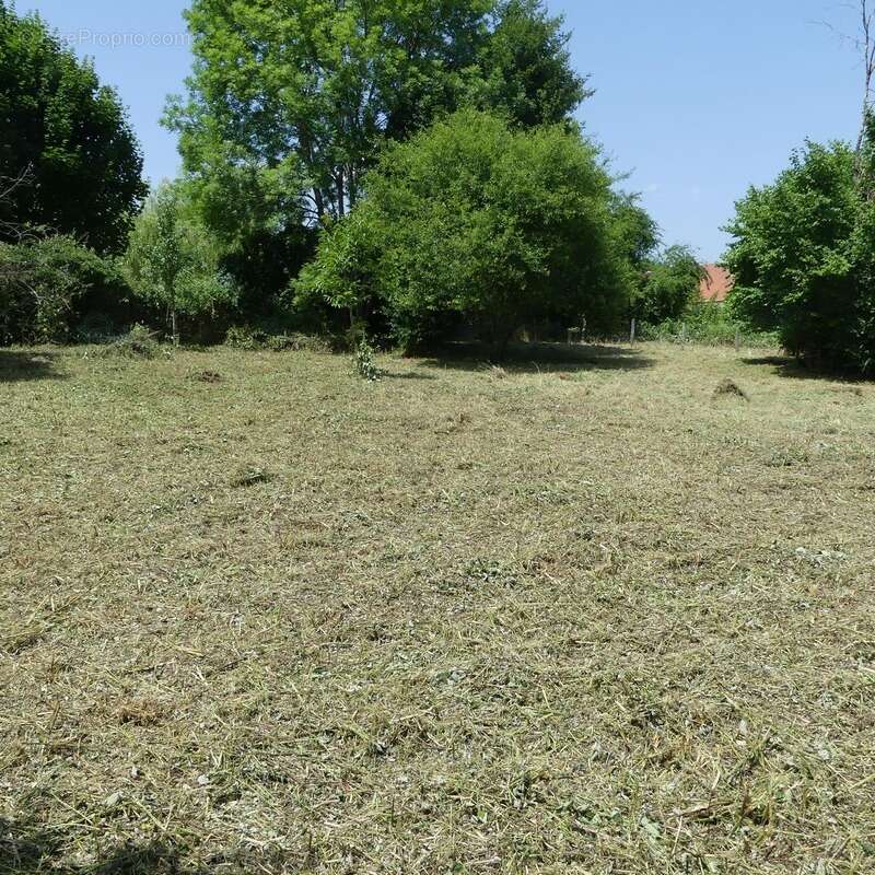 Terrain à POUILLY-EN-AUXOIS